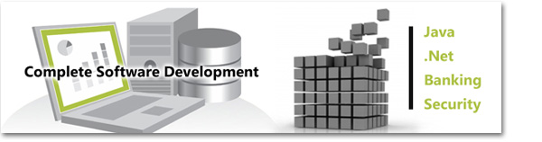 Software Development Services Raipur India